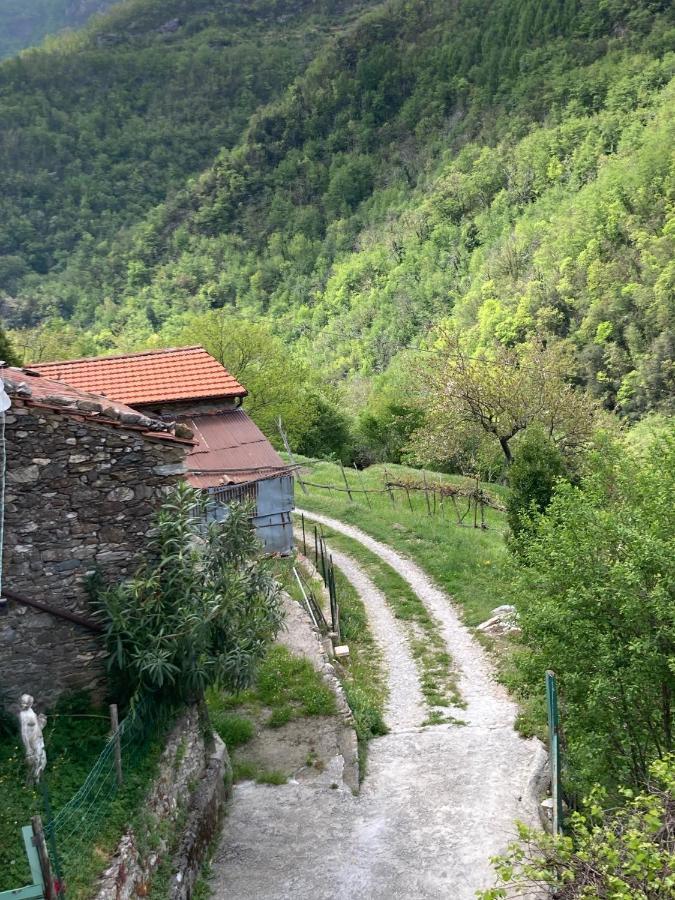 B&B Ameglia Garessio Esterno foto